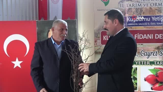 Amasya Valisi Masatlı: Bu yıl ürün rekoltelerimiz rekor kırdı