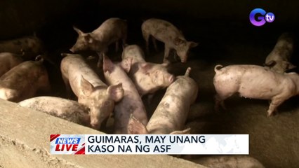Guimaras, may unang kaso na ng ASF | News Live