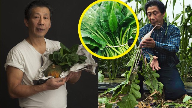 Yamashita Spinach : दुनिया का सबसे महंगा साग, क़ीमत सुनकर उड़ जायेंगे होश | Boldsky *Lifestyle