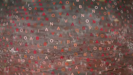 Olbia. La Lega premiali campione mondiale di vela  Nicolò Cassitta