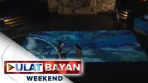 Kauna-unahang virtual ocean sa Southeast Asia, binuksan sa Maynila