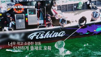 첫수에 쌍수로 환희♣ 드디어 경규에게 찾아온 참돔!