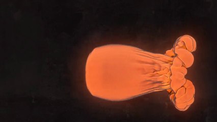 Основные преимущества печей Кузнецова