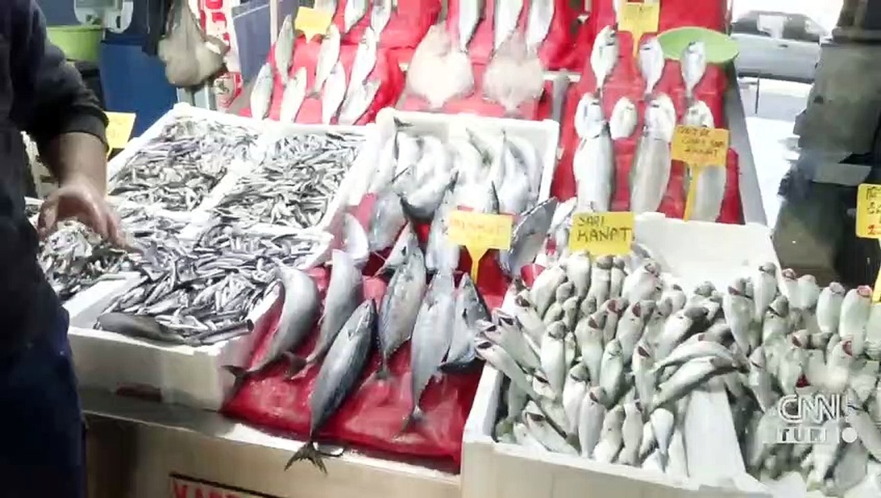 Balık fiyatlarında son durum