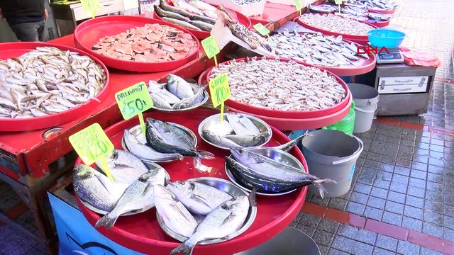 Karadeniz'de balıkçı ağları hamsiyle doldu