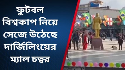 দার্জিলিং:ফুটবল বিশ্বকাপ নিয়ে সেজে উঠেছে শহরের ম্যাল চত্বর !চূড়ান্ত উত্তেজনা