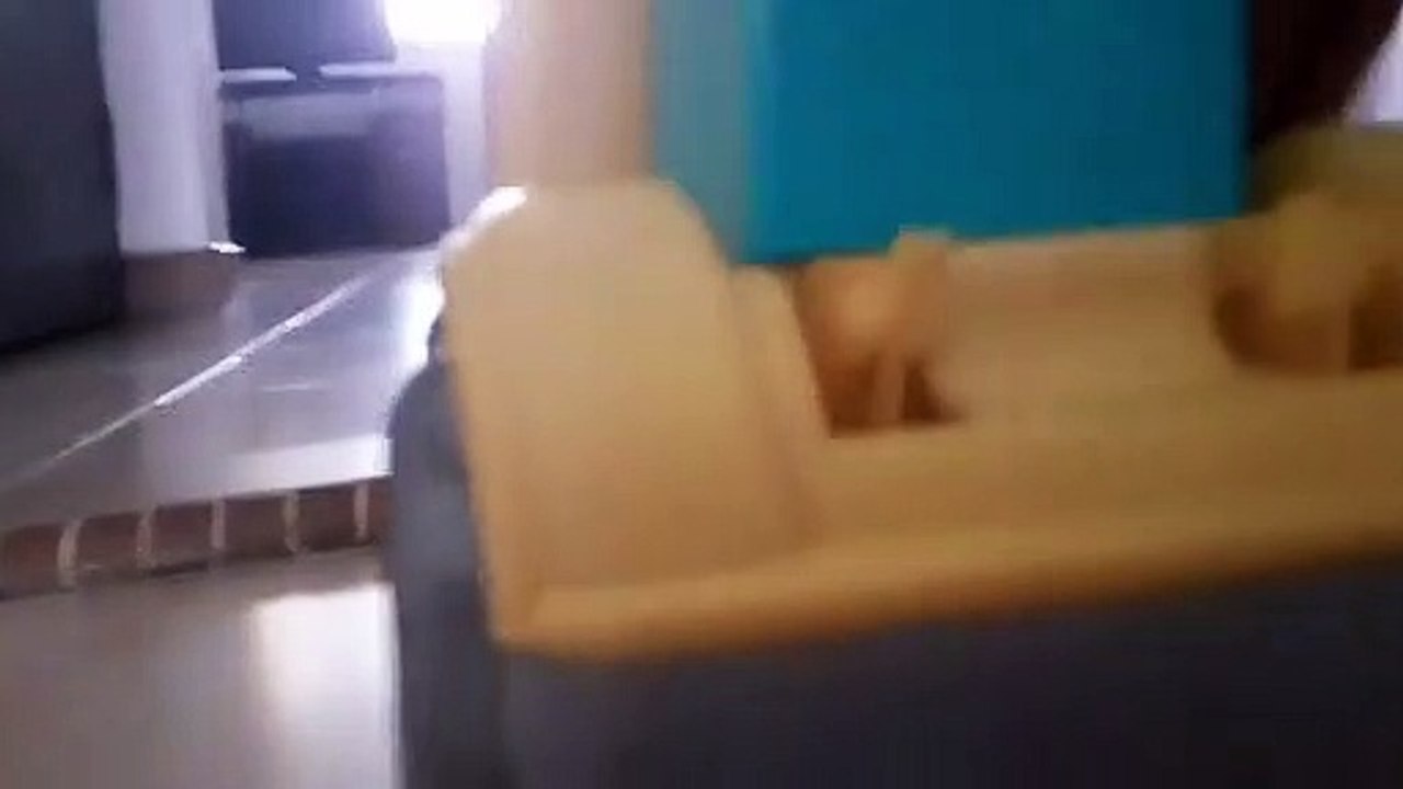 Neighbour's kid delivers block toys to toystown