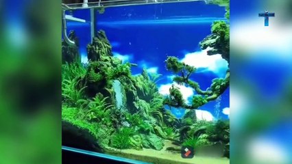 TOP 40 MOMENTS YOU WON’T REGRET WATCHING