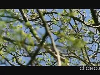 Monarchy - S3 Ep3 - Rule Britannia