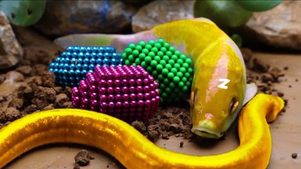 Stop motion duckling Funny cute animals #asmrvideo