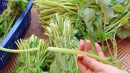 कमाल के नुस्खे जो हर काम करे आसान kitchen tips