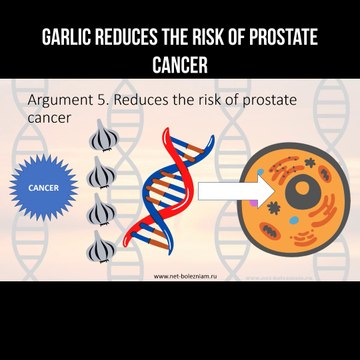 Garlic reduces the risk of prostate cancer