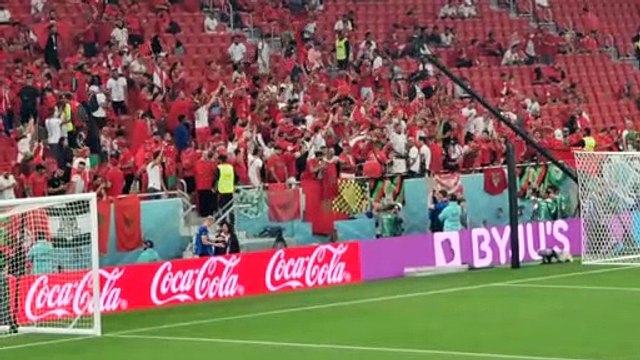 L'ambiance du match de Coupe du Monde Maroc Canada Morocco - Atmosphere from the FIFA World Cup 2022