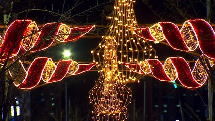연말연시 불빛 밝힌 울산 경관 조명..."따뜻함 전해요" / YTN