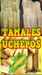 Download Video: tamales uchepos de elote verde #shorts UMITAS TAMALES