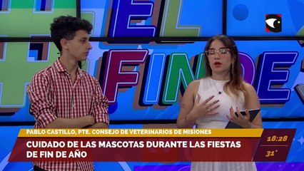 Télécharger la video: Cuidado de las mascotas durante las fiestas de fin de año