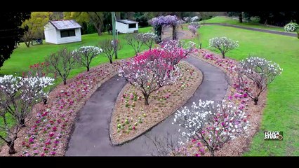 Beautiful garden in Sydney | Wistaria Garden