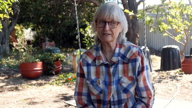 Despite government delays, food waste recycling bins are coming to your kitchen sooner than you think