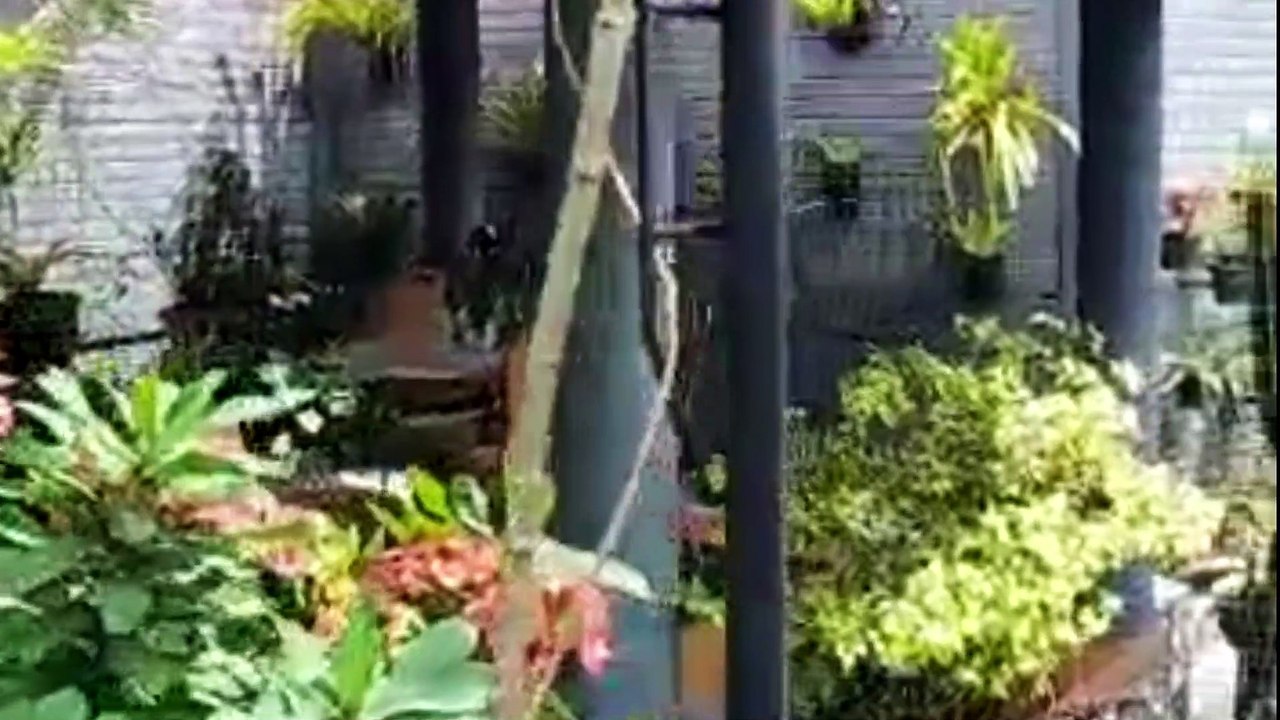 Suasana Nyaman Villa Griyasri di Puncak