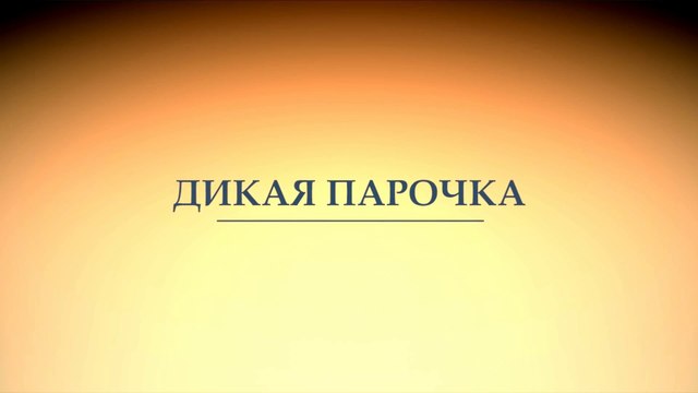Дикая парочка (2020) Трейлер