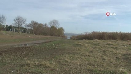 Çatalca'daki Muratbey deresinin rengi kimyasal atıklardan dolayı maviye döndü