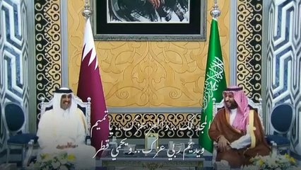 تركي آل الشيخ يهدي أمير قطر أغنية