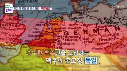 【 맥주효모 】 건강한 모발을 위한 특별한 비법 TV CHOSUN 20221218 방송