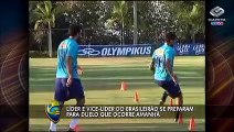 Cruzeiro quer abrir vantagem contra Botafogo