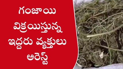 నవాబ్ పెట్: గంజాయి విక్రయిస్తున్న ఇద్దరు అరెస్టు