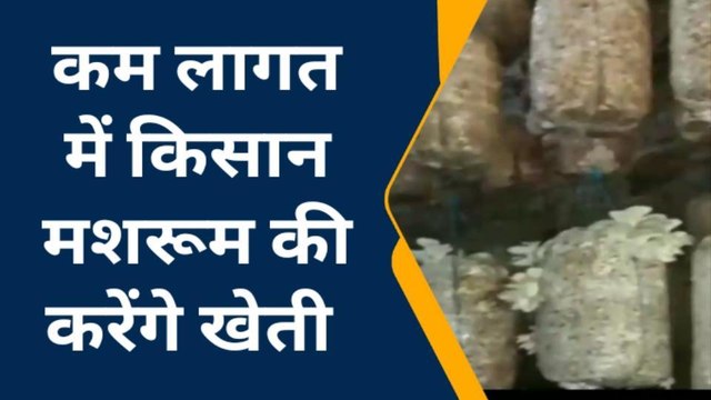 बक्सर: किसान मशरूम की खेती से कर रहे आर्थिक उन्नति, किसानों को कर रहे प्रेरित