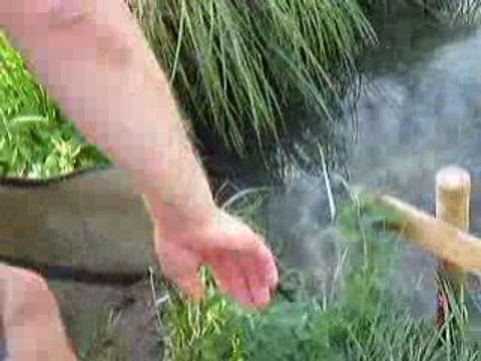 Carpe de 21 kgs prise au canal de mery sur seine