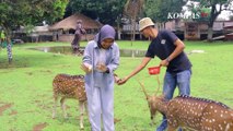 Bermain dan Berkebun di Nara Kupu Village Depok, Cocok Buat Healing!