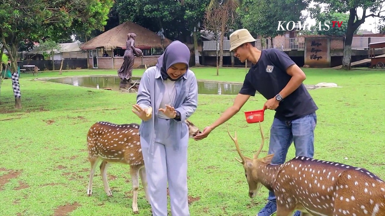 Bermain dan Berkebun di Nara Kupu Village Depok...