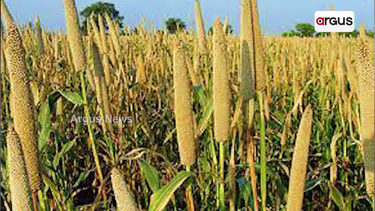 Parliament To Host An All-Millets Feast, Prime Minister To Take Part