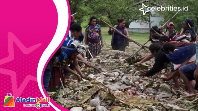 Sambut Natal, Warga Yahukimo Lakukan Tradisi Bakar Batu