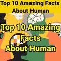 Human 10 Facts|10 Amazing facts|10 Interesting Facts |