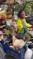 Cụ bà chở 13 chú cún trên xe đi dạo mỗi ngày