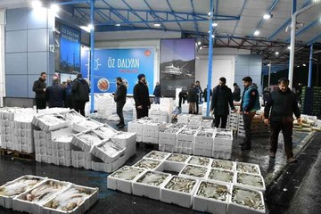 Ankara Balık Hali esnafı yeni yerinden memnun