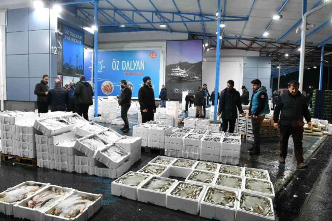 Ankara Balık Hali esnafı yeni yerinden memnun