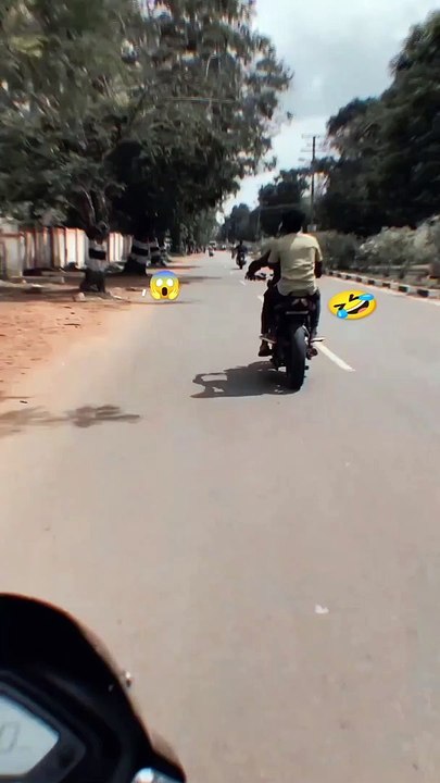 Funny Video Pura Deko 