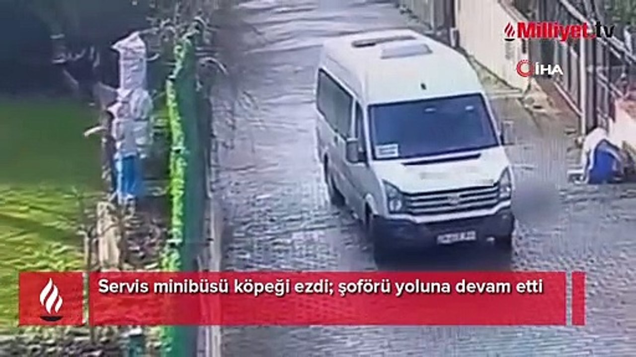 Servis minibüsü köpeği ezdi; şoförü yoluna devam etti