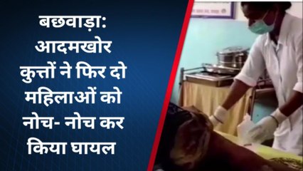 ब्रेकिंग न्यूज़: आदमखोर कुत्तों का आतंक जारी, फिर दो महिलाओं को नोच-नोच कर किया घायल