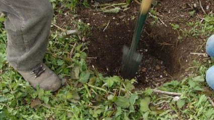 İngiltere'de bir evin arka bahçesinde kazı yapan yetkililer, çocuk kemikleri buldu