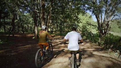 Sepasang - laki - laki - waaita - lagi - naik - sepeda - dihutan -mixkit-couple-of-cyclists-riding-through-nature-together-44341-medium