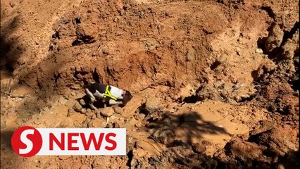 Télécharger la video: Batang Kali landslide: Sniffer dogs in SAR op to be rotated after K9 unit's Blake burns out