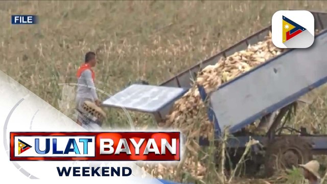 Pagpapalawig sa bawas-buwis sa ilang imported na produkto, inaprubahan ni Pres. Ferdinand R. Marcos Jr.