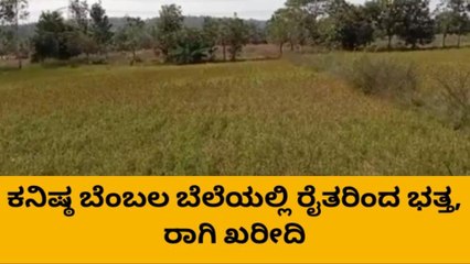 ಹಾಸನ: ಭತ್ತ-ರಾಗಿ ಕನಿಷ್ಠ ಬೆಂಬಲ ಬೆಲೆಯಲ್ಲಿ ಖರೀದಿ; ಇಲ್ಲಿದೆ ಮಾಹಿತಿ