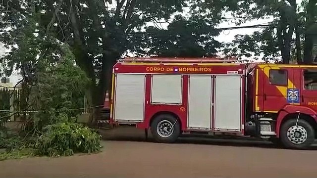 Galho de árvore cai no meio da rua no Bairro São Cristóvão
