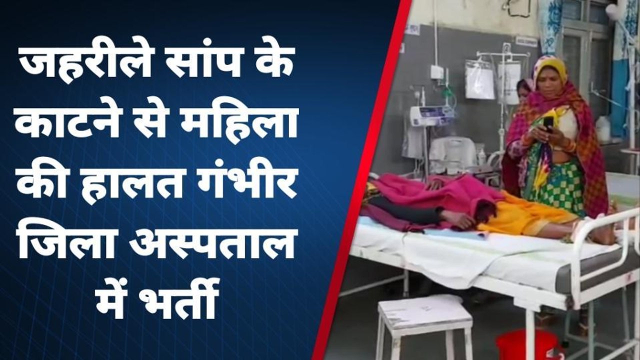 बैतूल: खेत में मवेशी चराने गई महिला को जहरीले स...