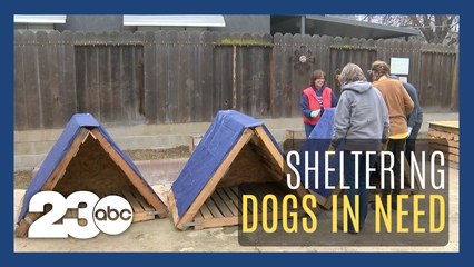 Kern County volunteers building shelters for abandoned dogs
